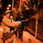 Chikungunya et dengue : nouvelles contaminations en France