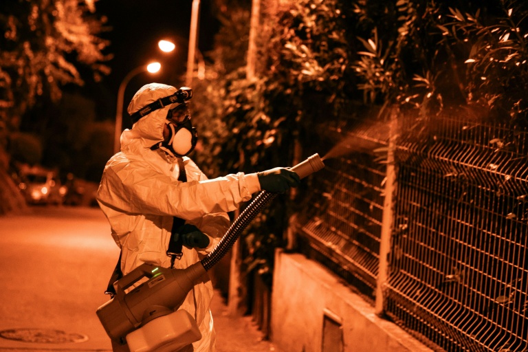 Chikungunya et dengue : nouvelles contaminations en France